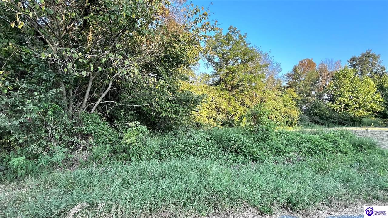 Listing Picture 166 W Butler Lane Harned, KY 40144 MLS HK24003322