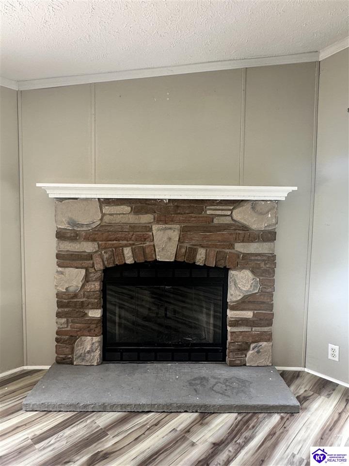 Listing Picture 1088 Rock Ridge Road Brandenburg, KY 40108 MLS HK24003353