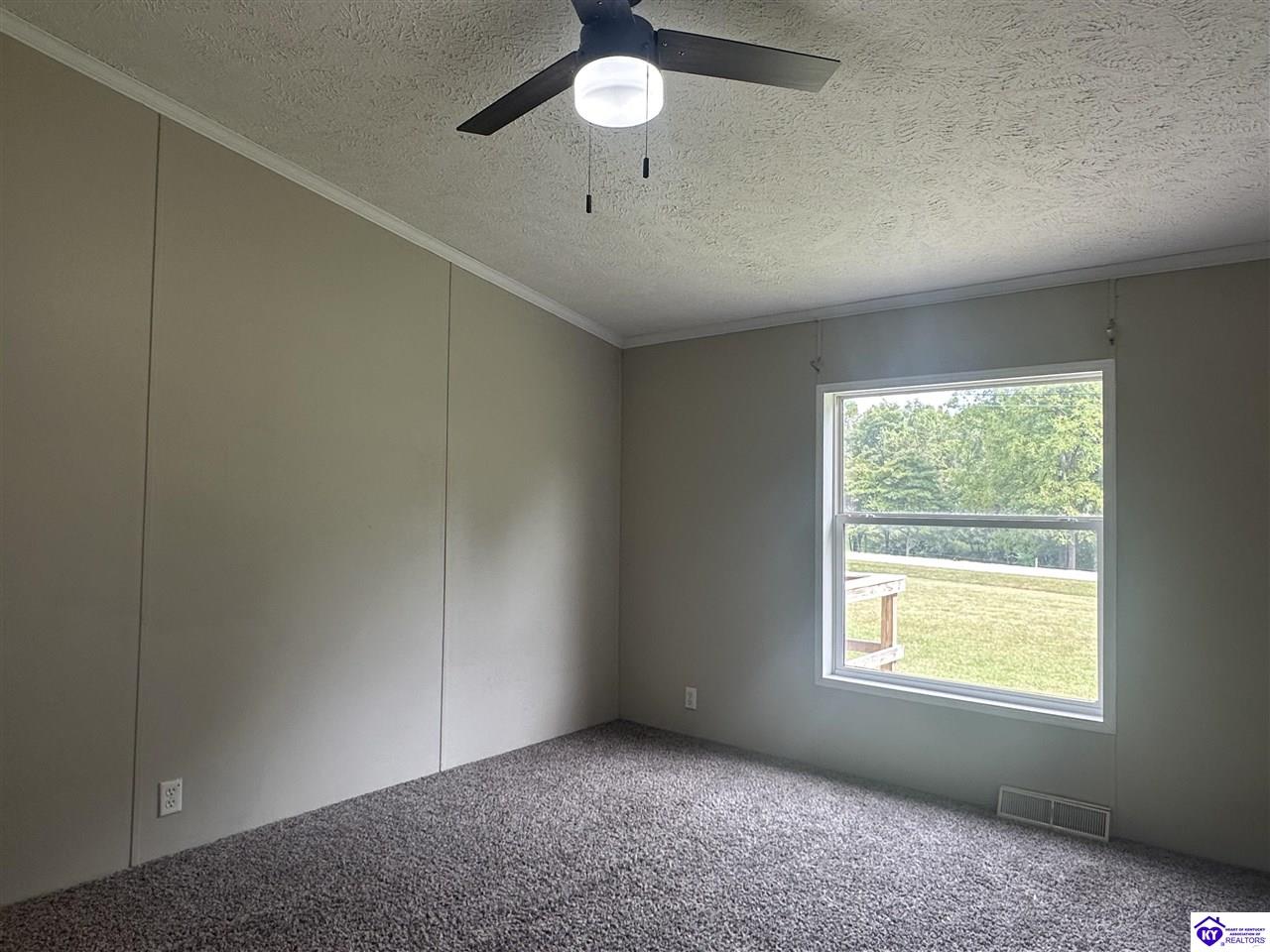 Listing Picture 1088 Rock Ridge Road Brandenburg, KY 40108 MLS HK24003353