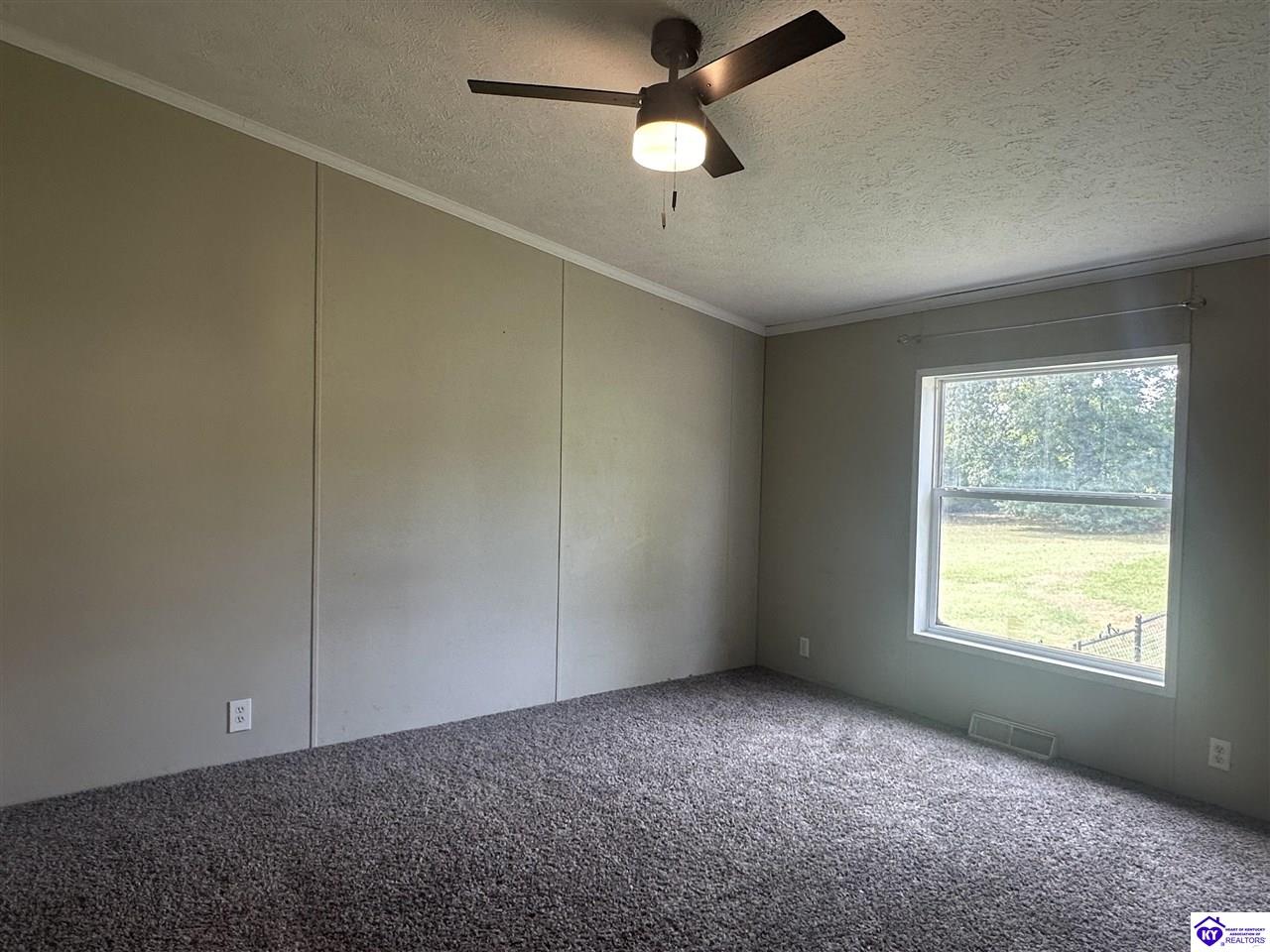 Listing Picture 1088 Rock Ridge Road Brandenburg, KY 40108 MLS HK24003353