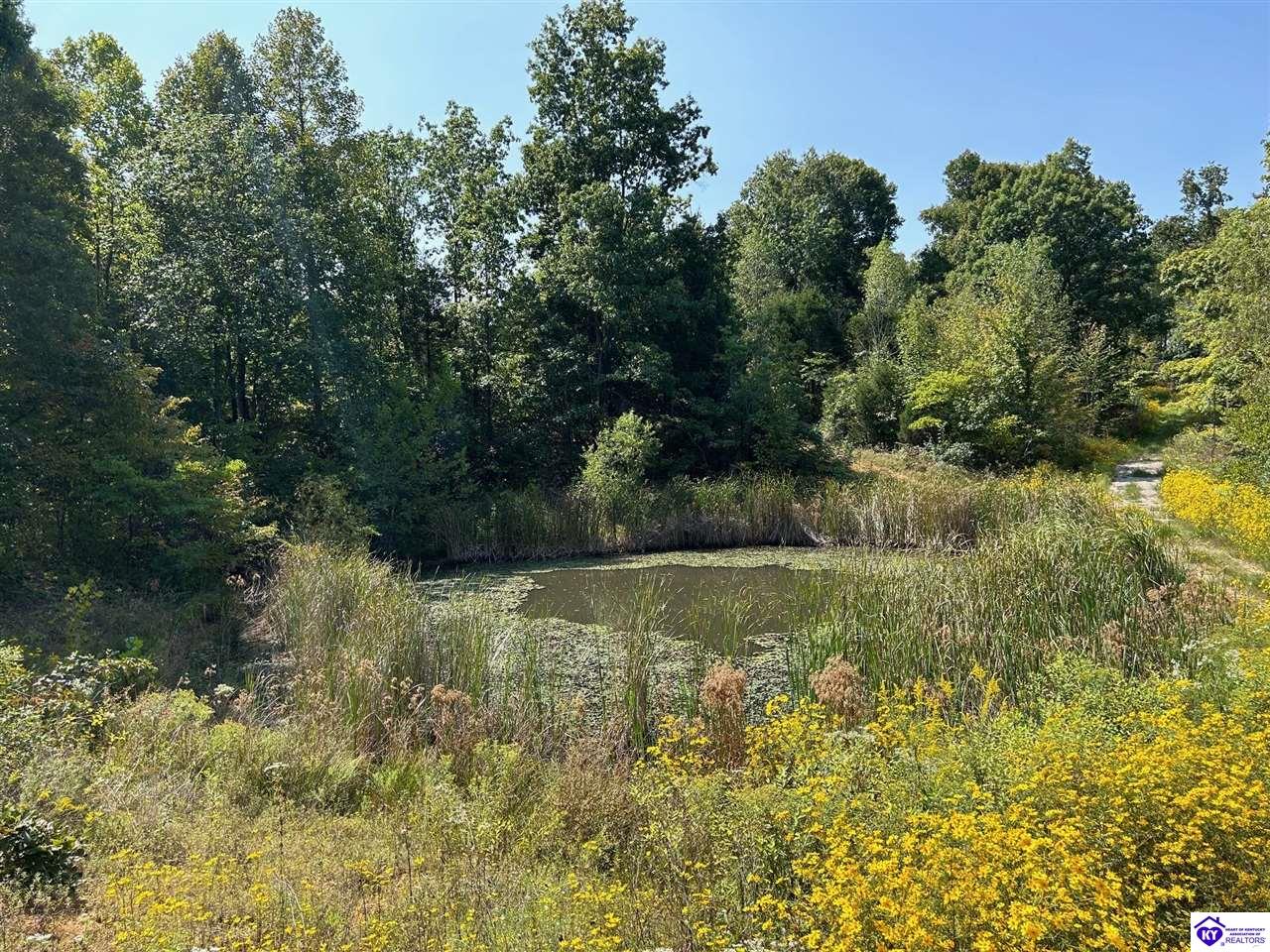 723 flat rock road Battletown, KY 40104