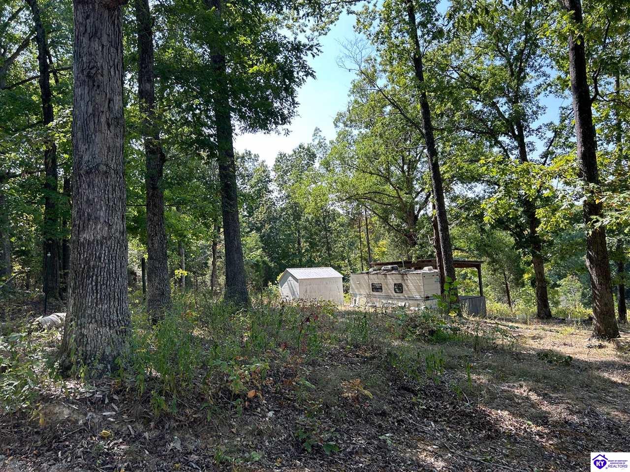 723 Flat Rock Road Battletown, KY 40104 #1