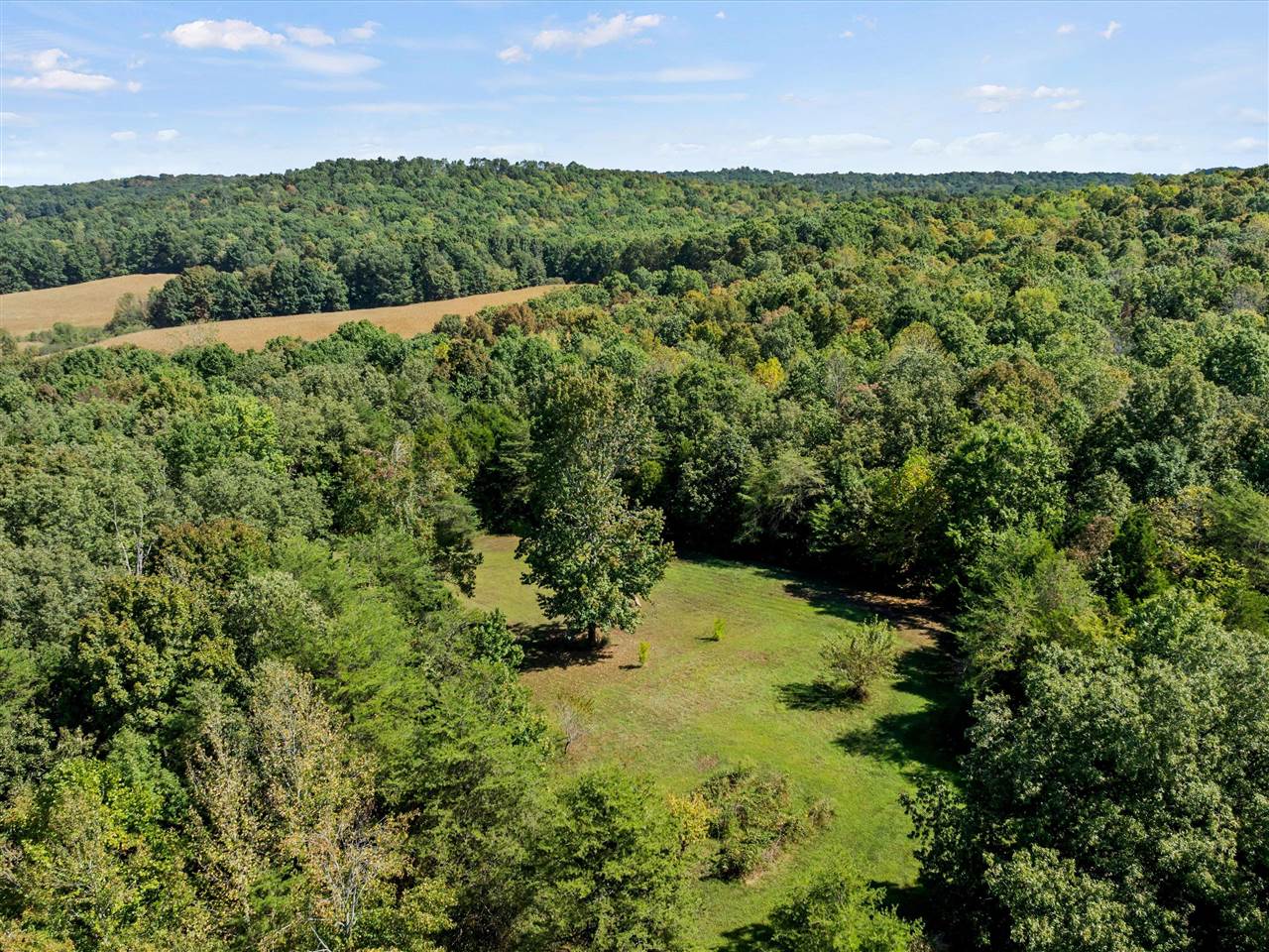6077 Sandy Creek Road
