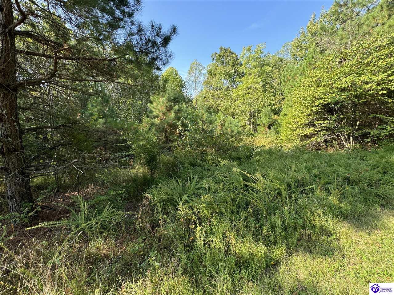 0 DeWitt RoadFordsville, KY 42343