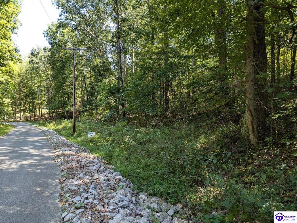671 Holley Cave DriveMammoth Cave, KY 42259