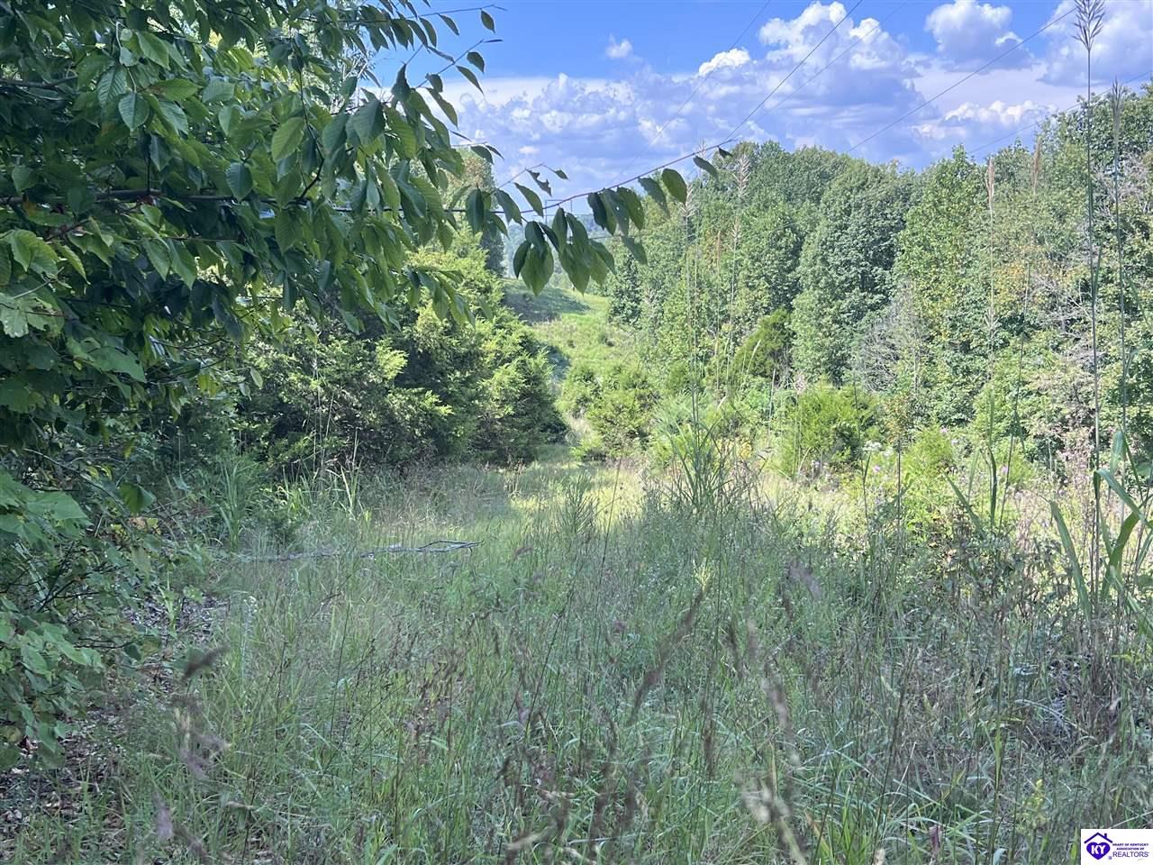 0 Howard ScottMunfordville, KY 42765