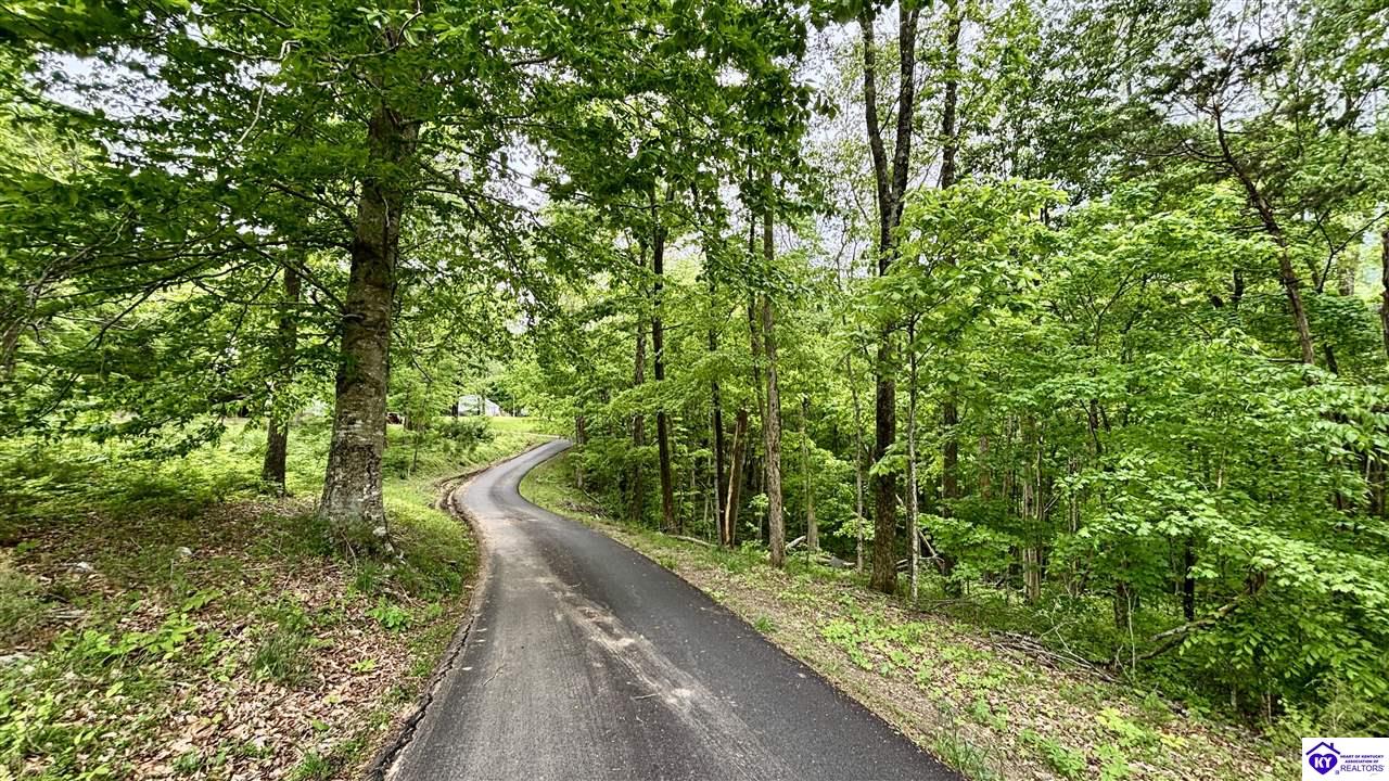 Listing Picture 320 Hayes Cemetery Road Greensburg, KY 42743 MLS HK24003752