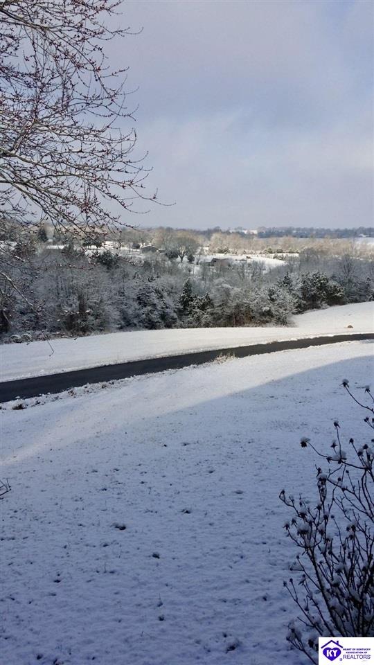 Listing Picture 320 Hayes Cemetery Road Greensburg, KY 42743 MLS HK24003752