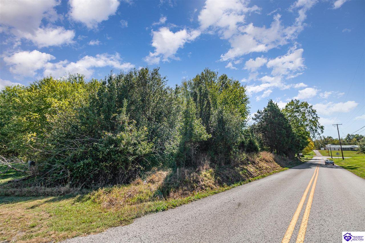 Lot 2 Rineyville School RoadRineyville, KY 40162