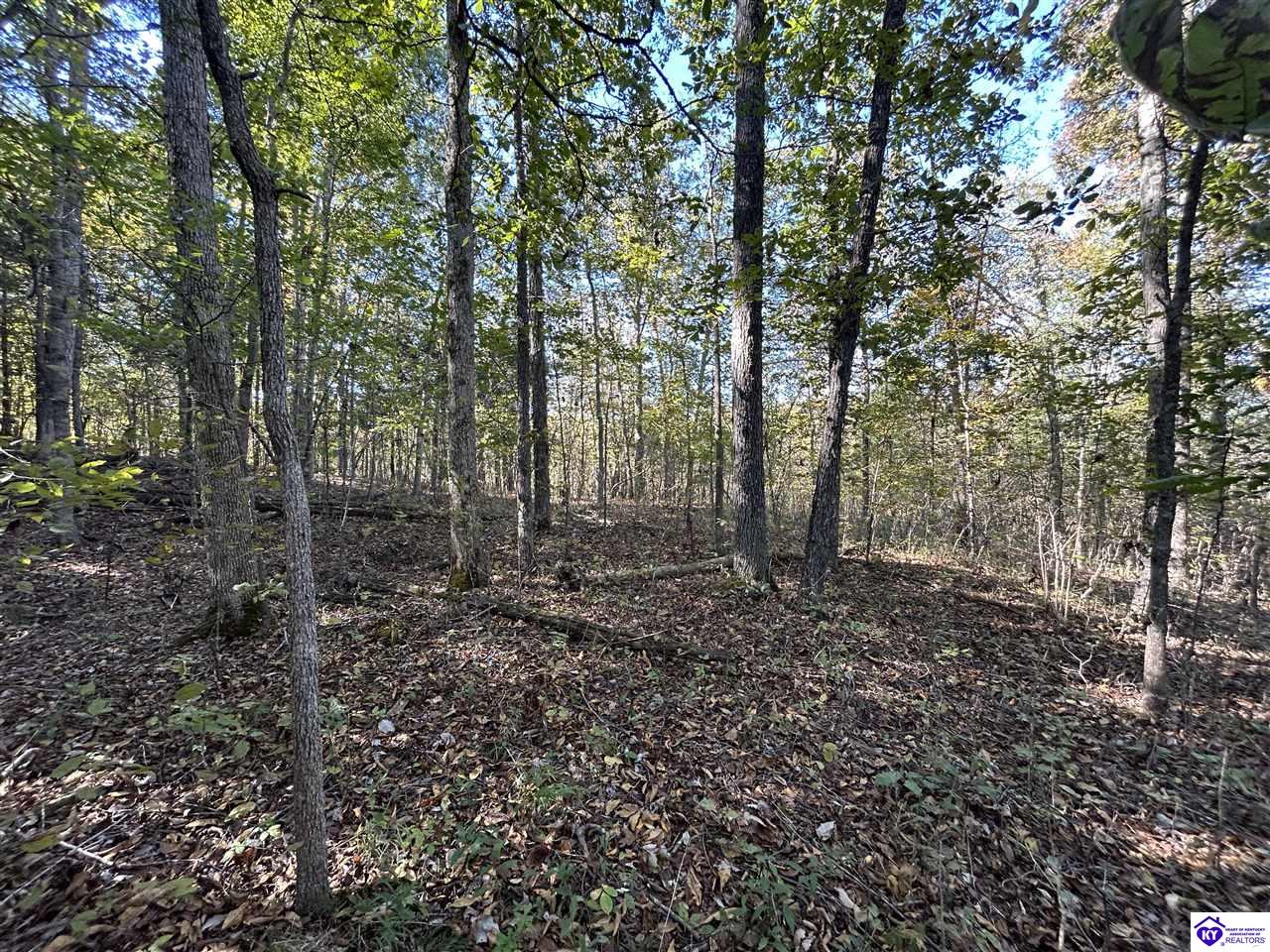 579 Hudson Fairfield RoadHudson, KY 40145