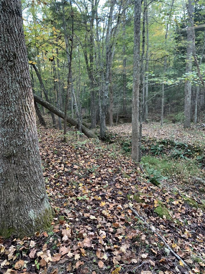 3690 Morgantown Road