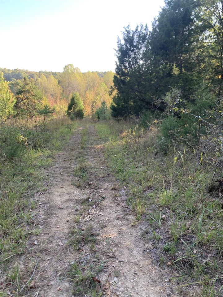 3690 Morgantown Road