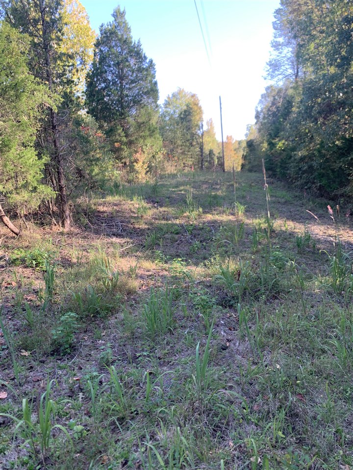 3690 Morgantown Road
