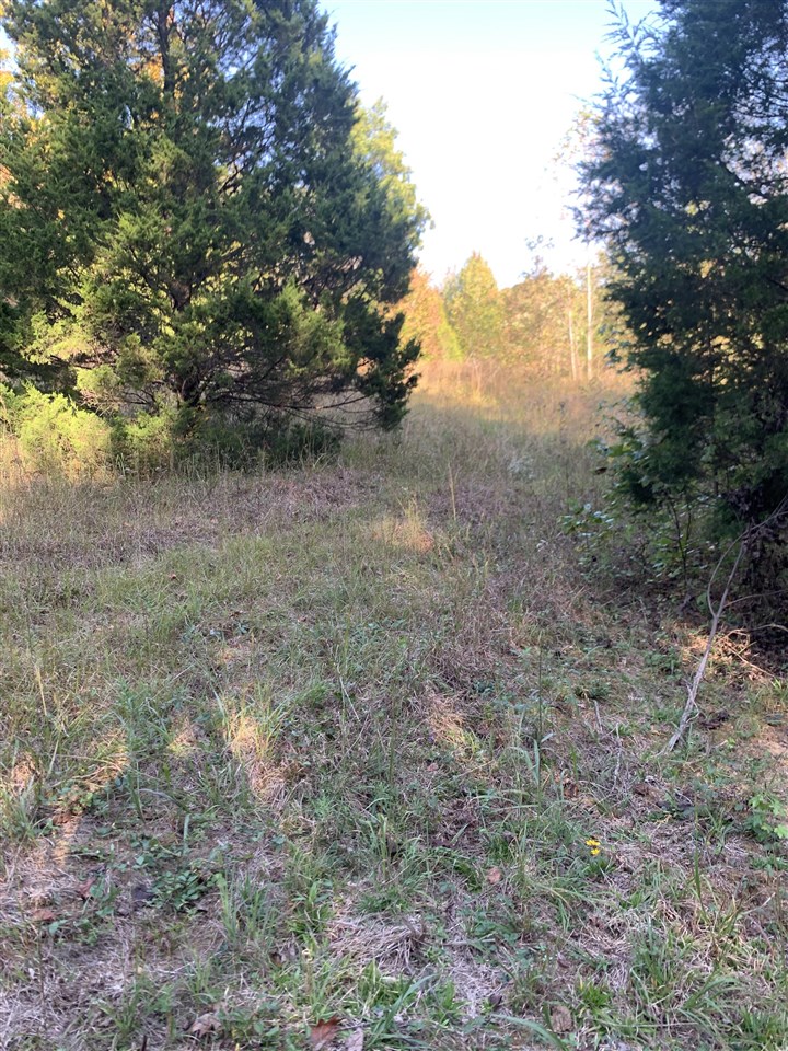 3690 Morgantown Road