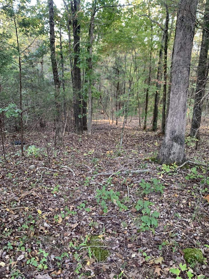 3690 Morgantown Road