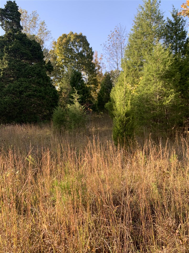 3690 Morgantown Road