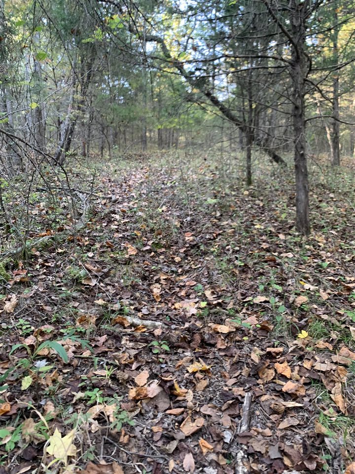 3690 Morgantown Road