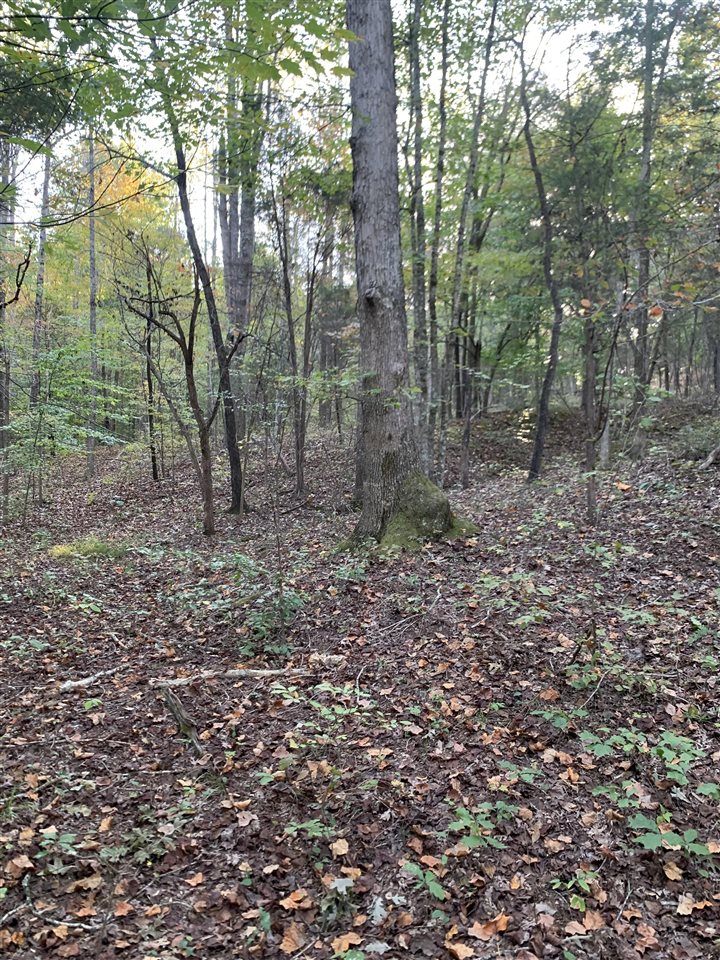3690 Morgantown Road