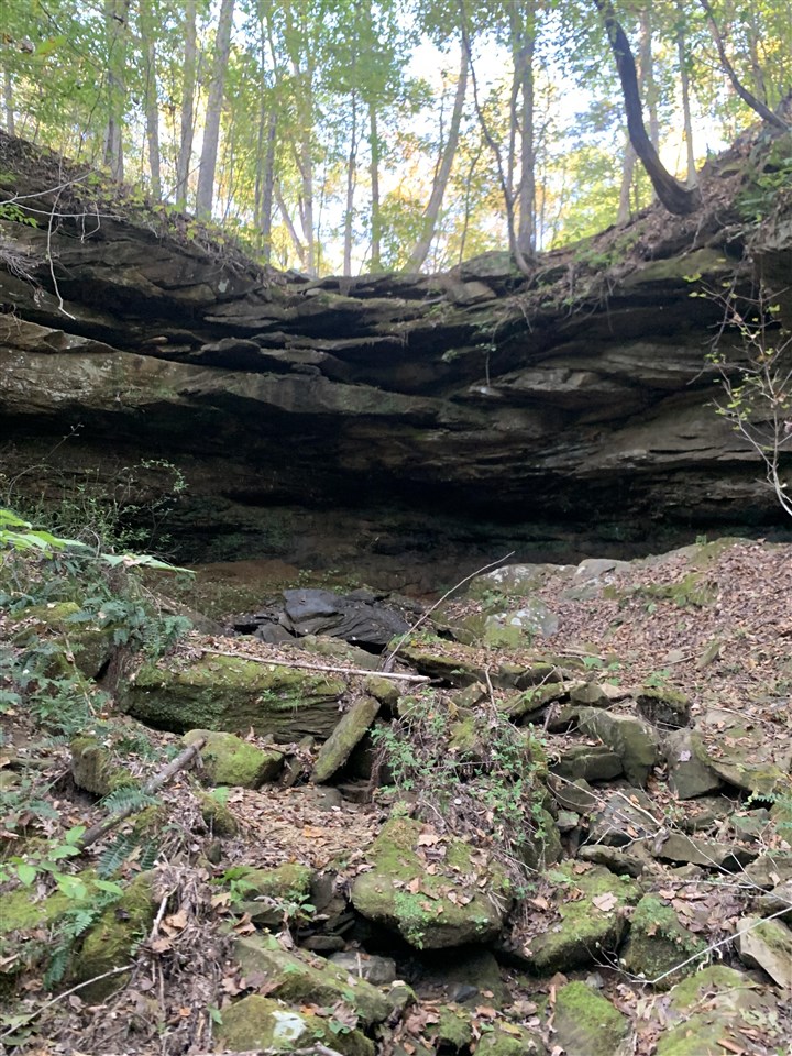 3690 Morgantown Road