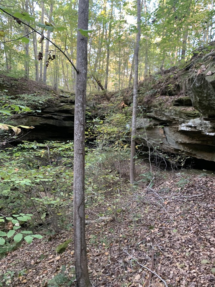 3690 Morgantown Road