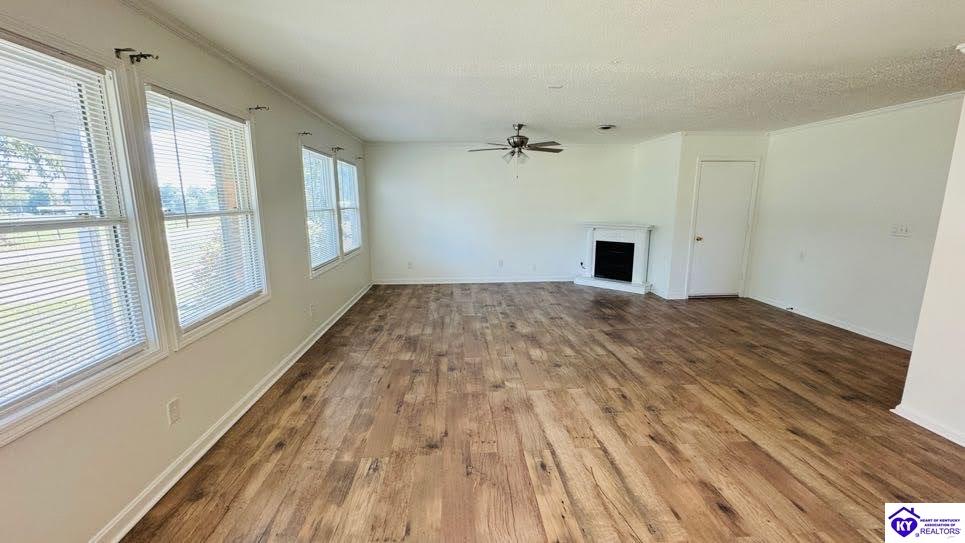 Listing Picture 4108 Highway 1740 Hardinsburg, KY 40143 MLS HK24003915