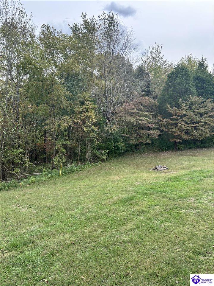 Listing Picture 182 Kelley Lane Elizabethtown, KY 42701 MLS HK24003924