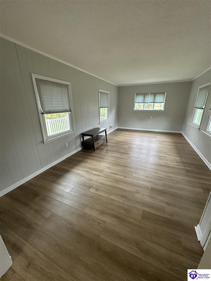 Listing Picture 156 Atwill Street Brandenburg, KY 40108 MLS HK24003961