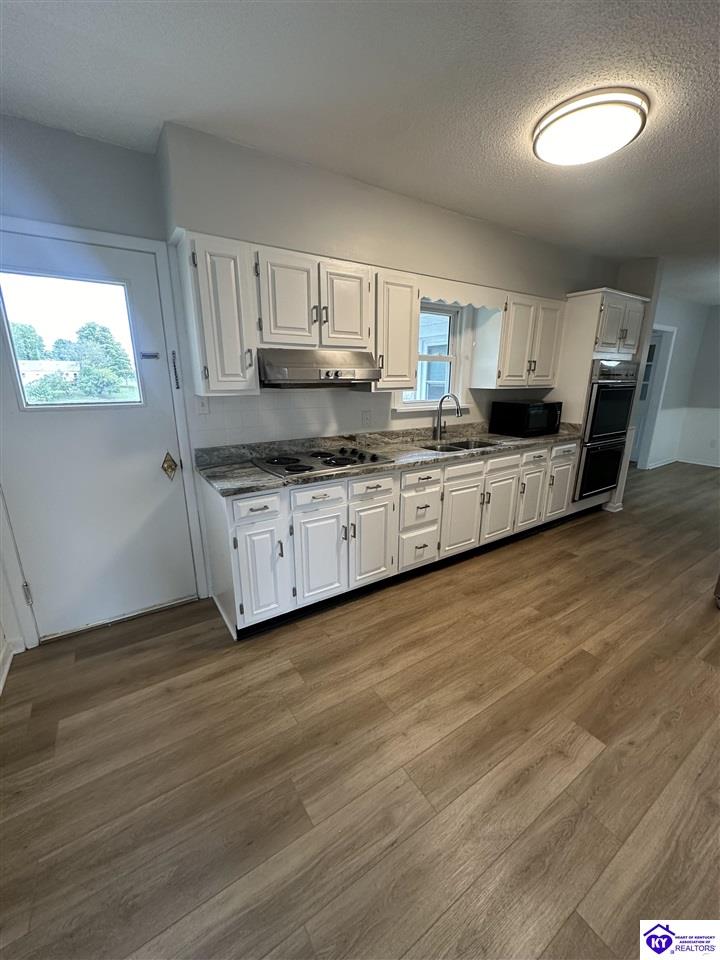 Listing Picture 156 Atwill Street Brandenburg, KY 40108 MLS HK24003961