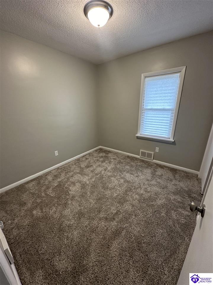 Listing Picture 156 Atwill Street Brandenburg, KY 40108 MLS HK24003961