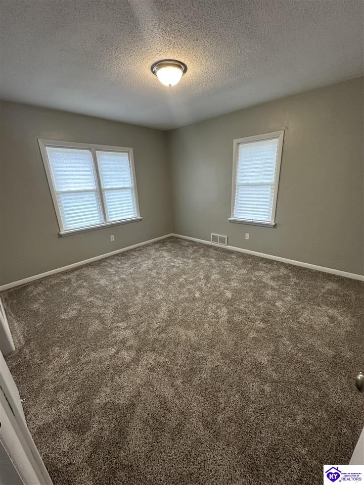 Listing Picture 156 Atwill Street Brandenburg, KY 40108 MLS HK24003961