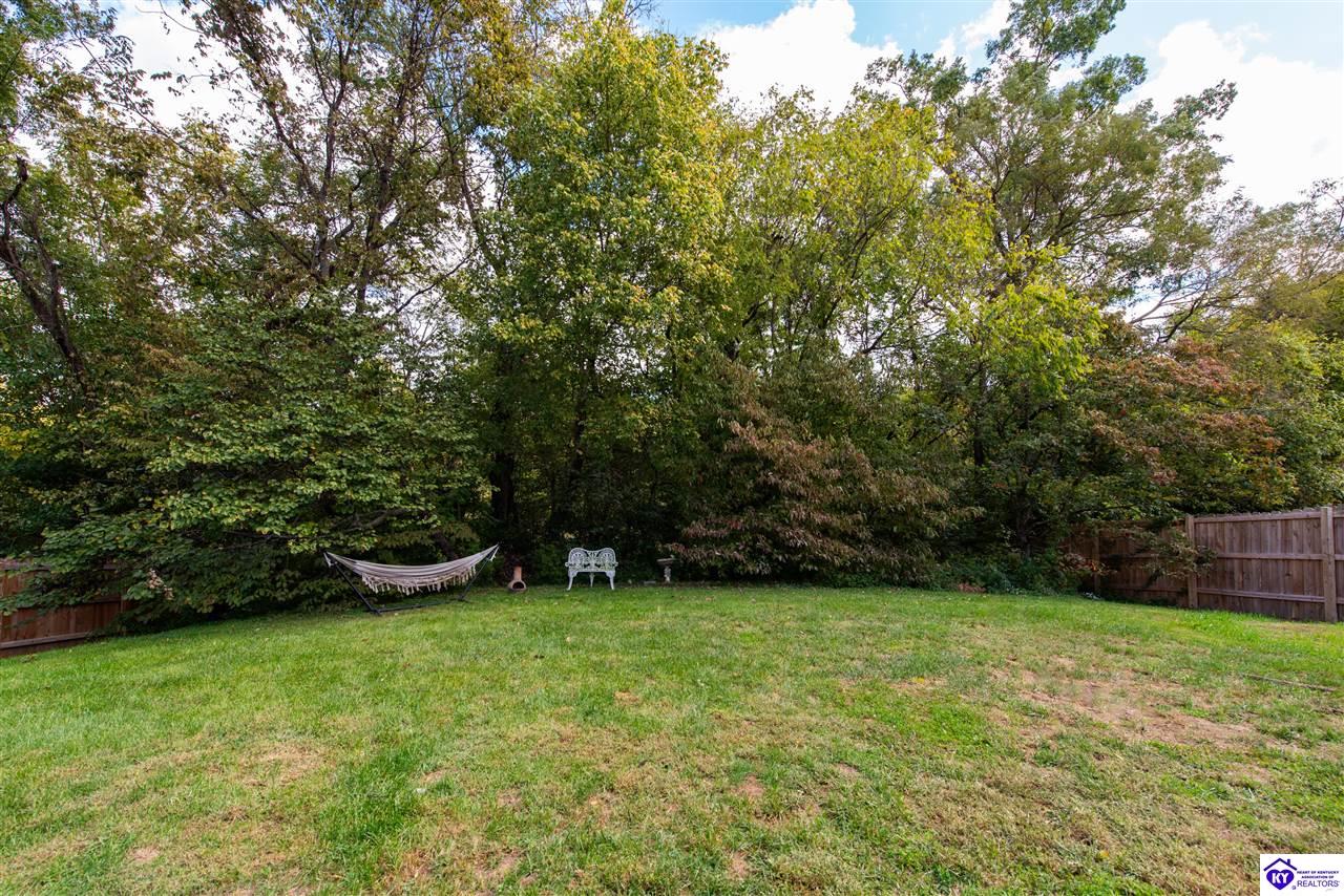 Listing Picture 10007 Evening Star Drive Louisville, KY 40272 MLS HK24003974