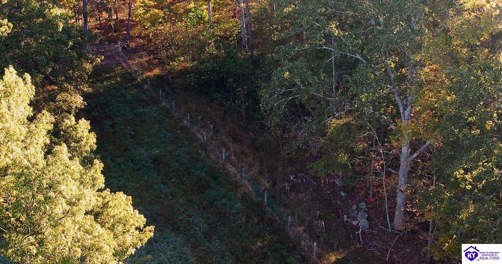 Roy Road Eastview, KY 42732 #2
