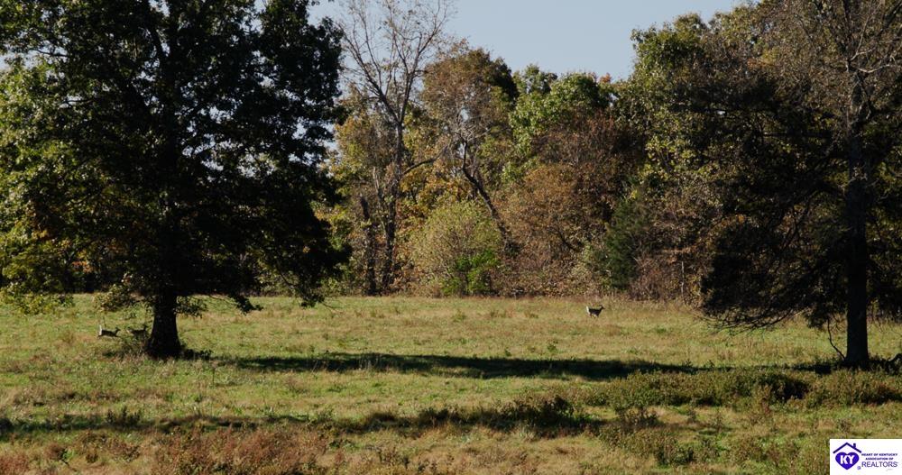 Roy Road Eastview, KY 42732 #3