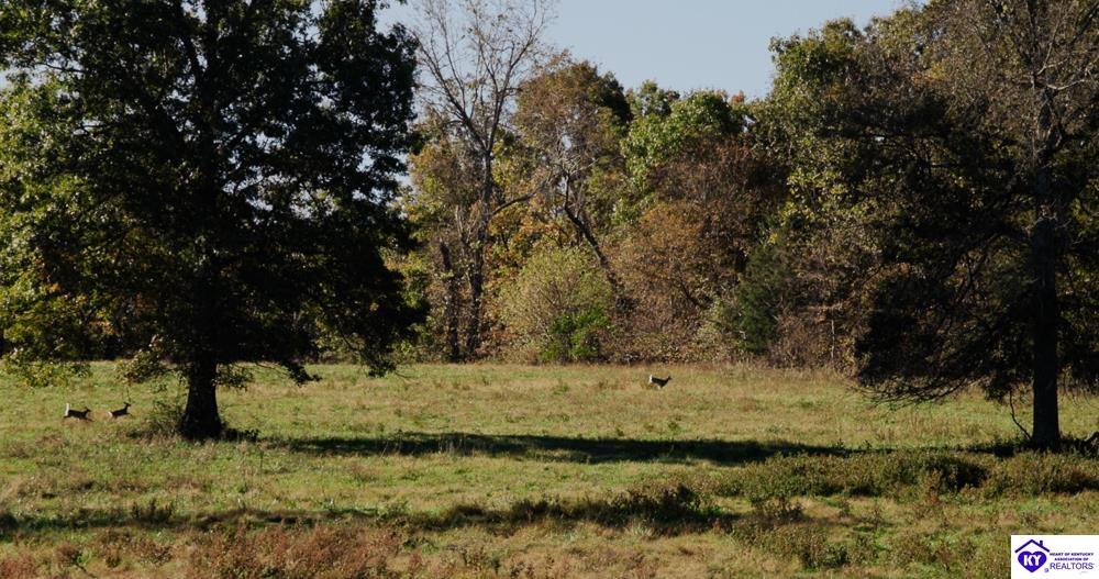 Roy Road Eastview, KY 42732 #4