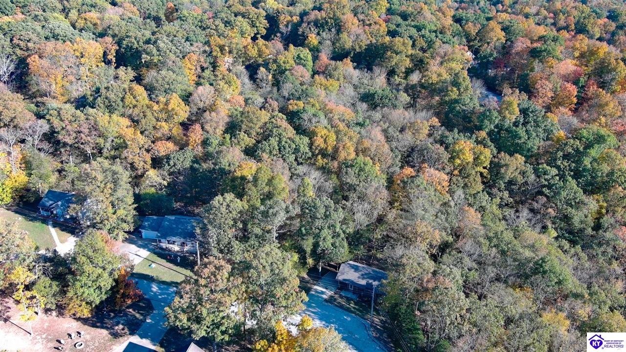 Listing Picture 155 Sunny View Road Brandenburg, KY 40108 MLS HK24004083