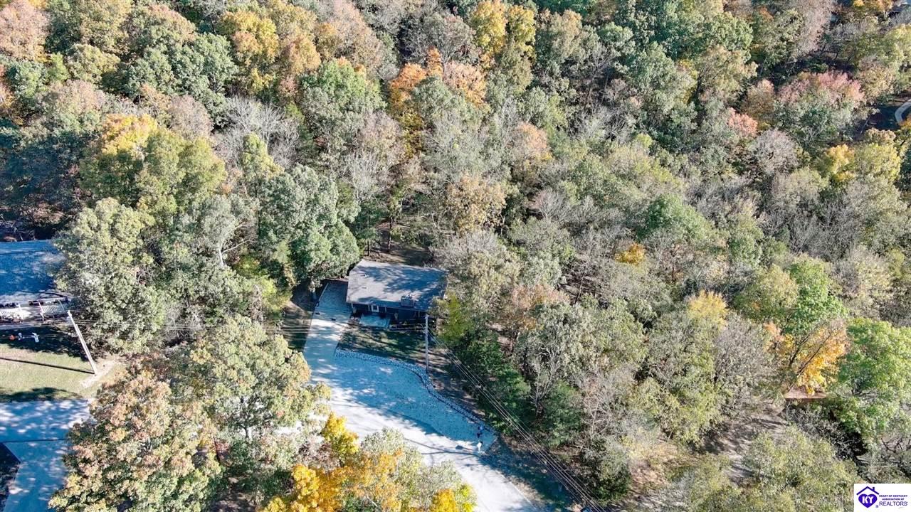 Listing Picture 155 Sunny View Road Brandenburg, KY 40108 MLS HK24004083