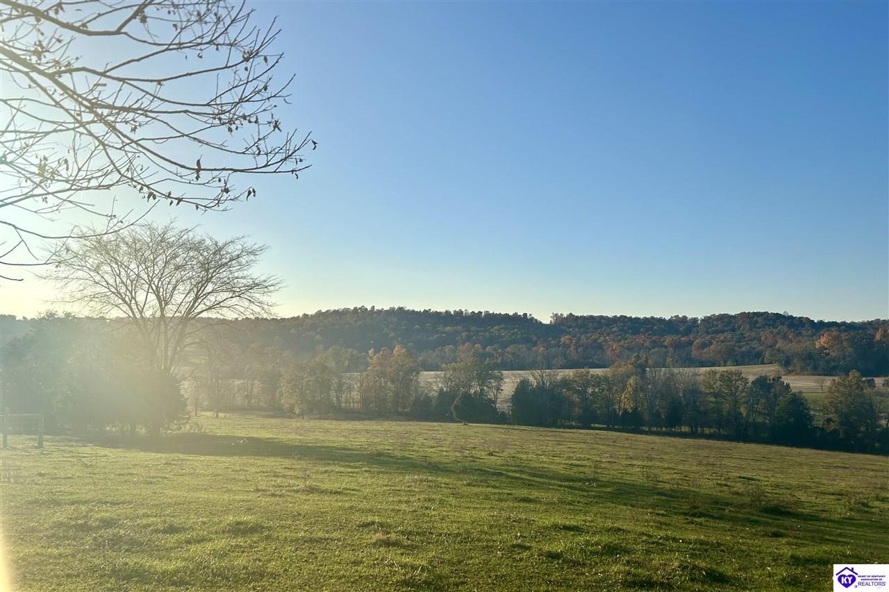 Listing Picture 680 Hornback Farms Lane Webster, KY 40176 MLS HK24004193