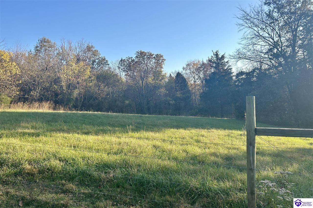 Listing Picture 680 Hornback Farms Lane Webster, KY 40176 MLS HK24004193