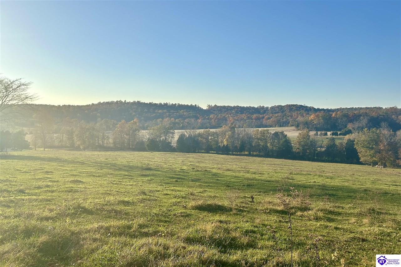 Listing Picture 680 Hornback Farms Lane Webster, KY 40176 MLS HK24004193