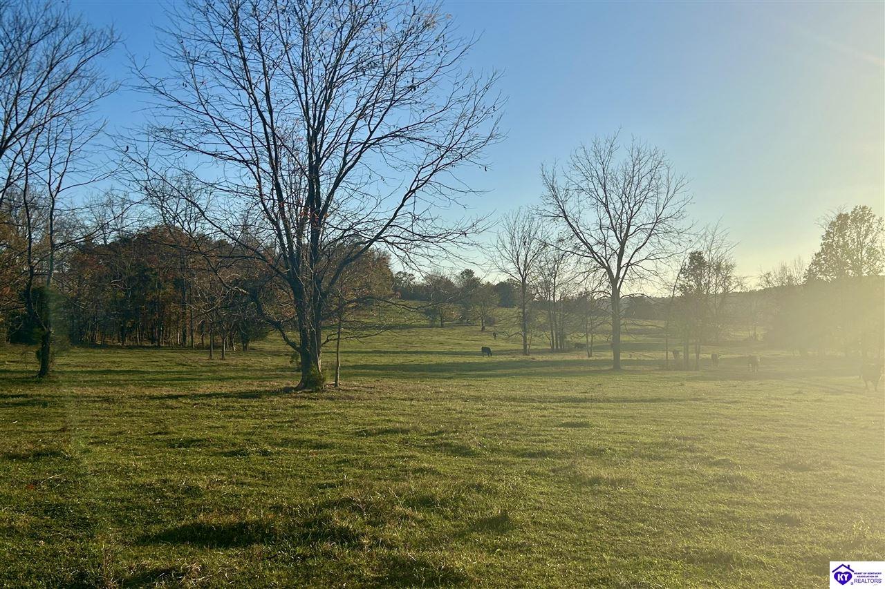 Listing Picture 680 Hornback Farms Lane Webster, KY 40176 MLS HK24004193