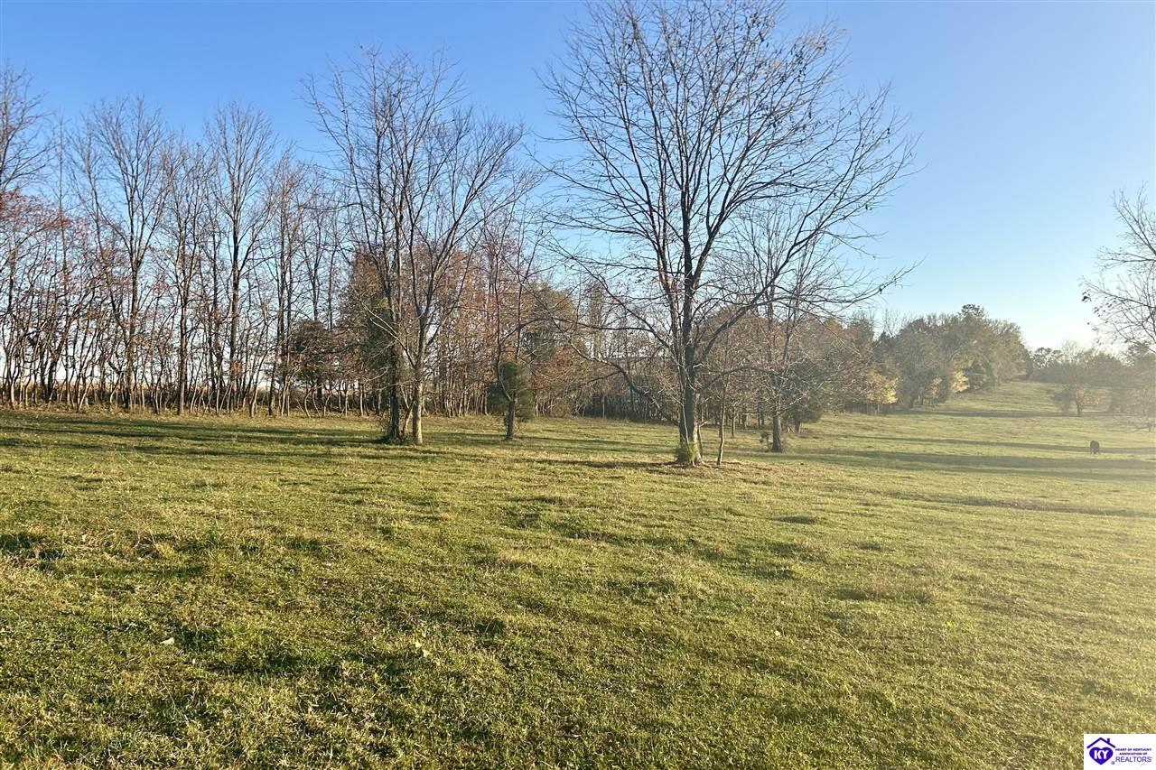 Listing Picture 680 Hornback Farms Lane Webster, KY 40176 MLS HK24004193