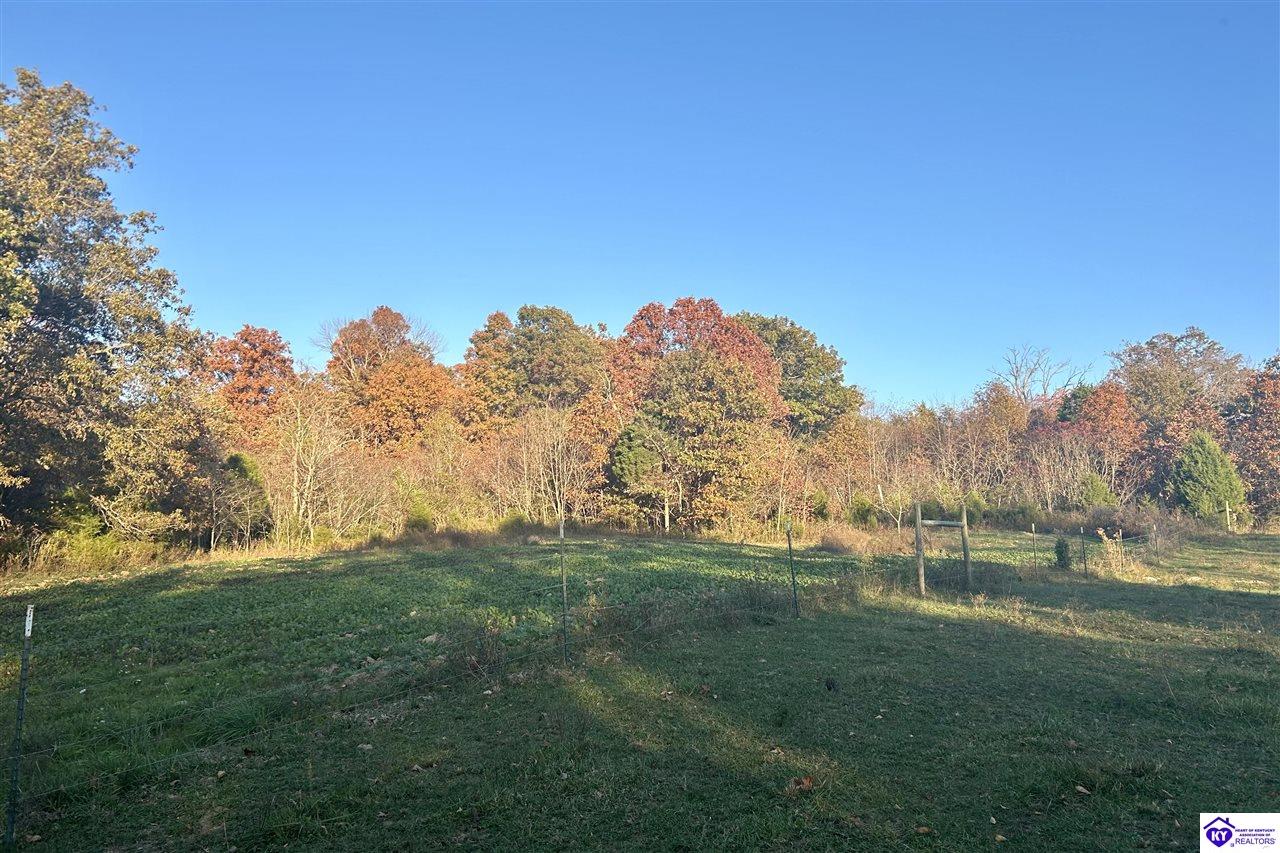 Listing Picture 680 Hornback Farms Lane Webster, KY 40176 MLS HK24004193
