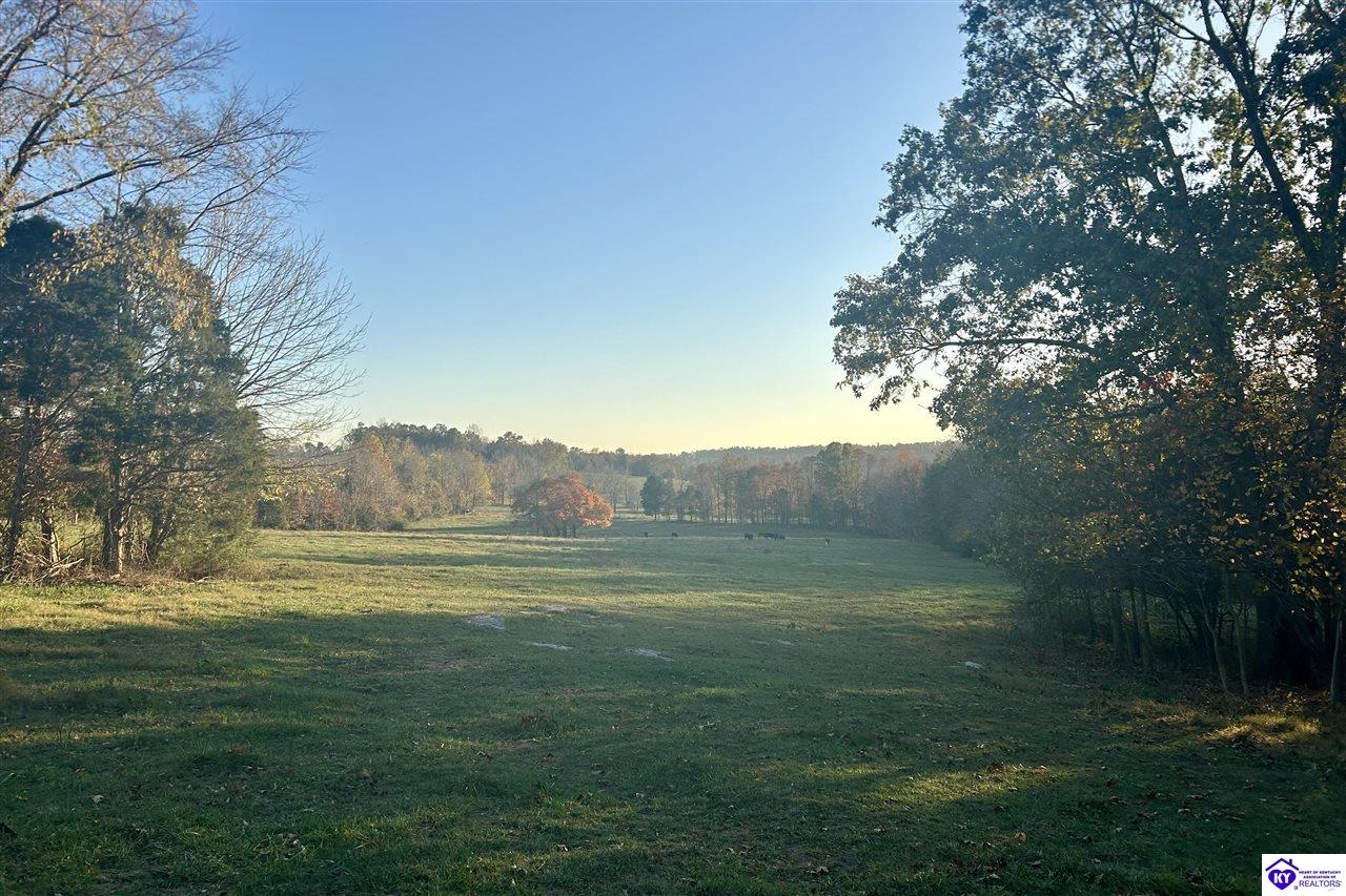 Listing Picture 680 Hornback Farms Lane Webster, KY 40176 MLS HK24004193