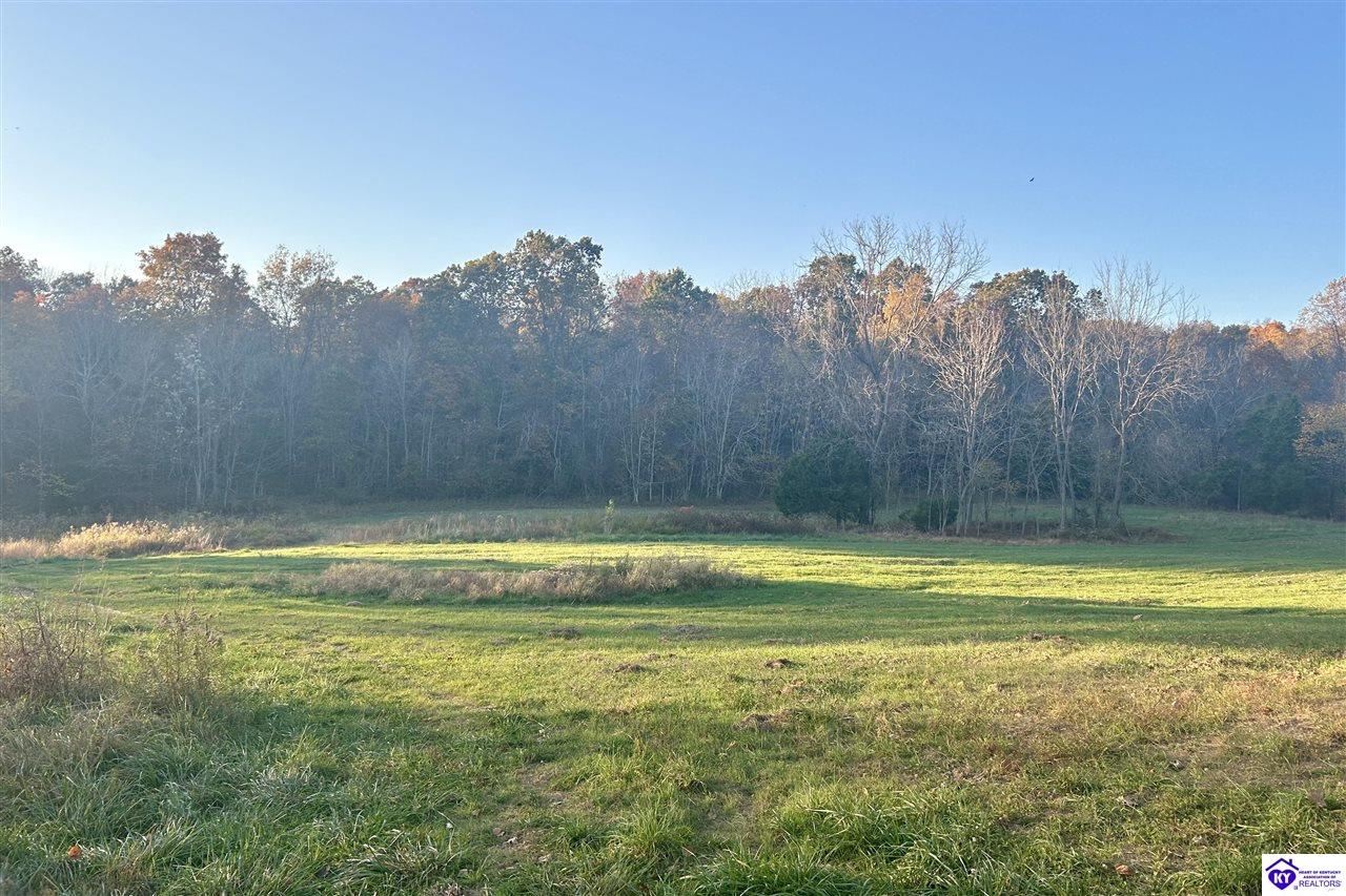 Listing Picture 680 Hornback Farms Lane Webster, KY 40176 MLS HK24004193