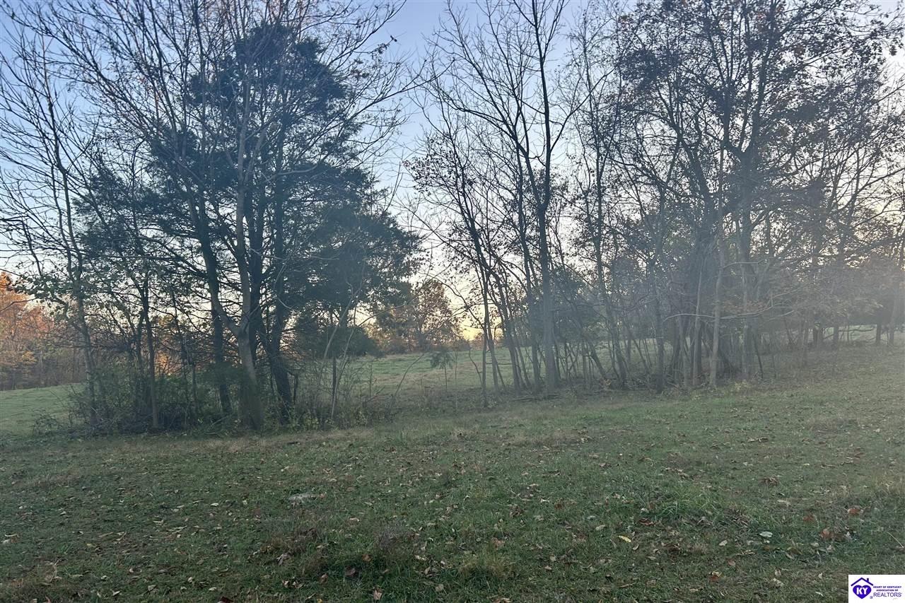 Listing Picture 680 Hornback Farms Lane Webster, KY 40176 MLS HK24004193