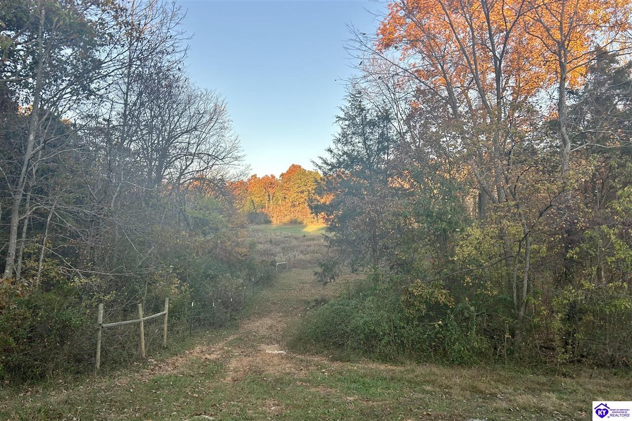 Listing Picture 680 Hornback Farms Lane Webster, KY 40176 MLS HK24004193