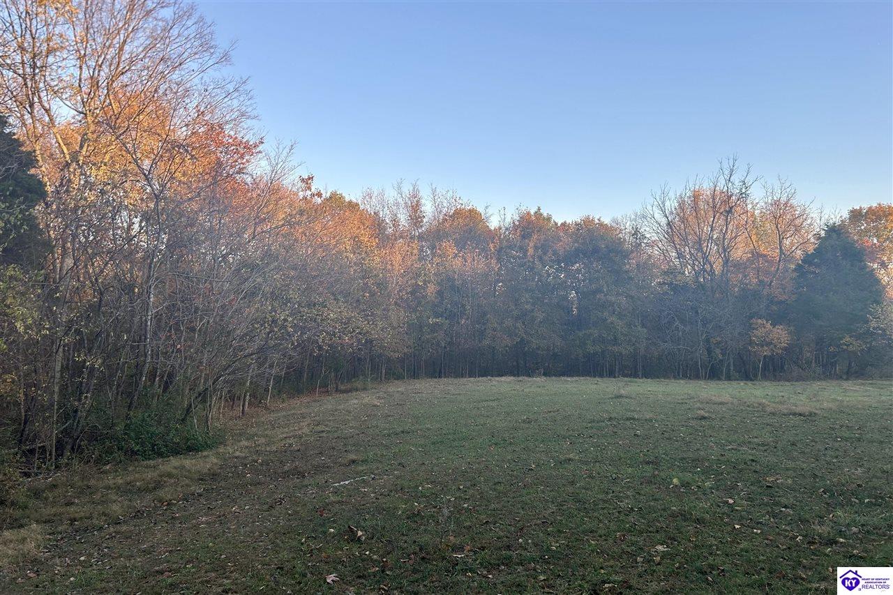 Listing Picture 680 Hornback Farms Lane Webster, KY 40176 MLS HK24004193