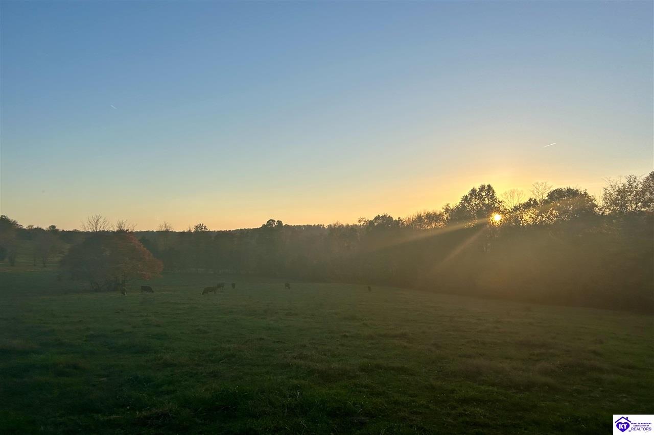 Listing Picture 680 Hornback Farms Lane Webster, KY 40176 MLS HK24004193