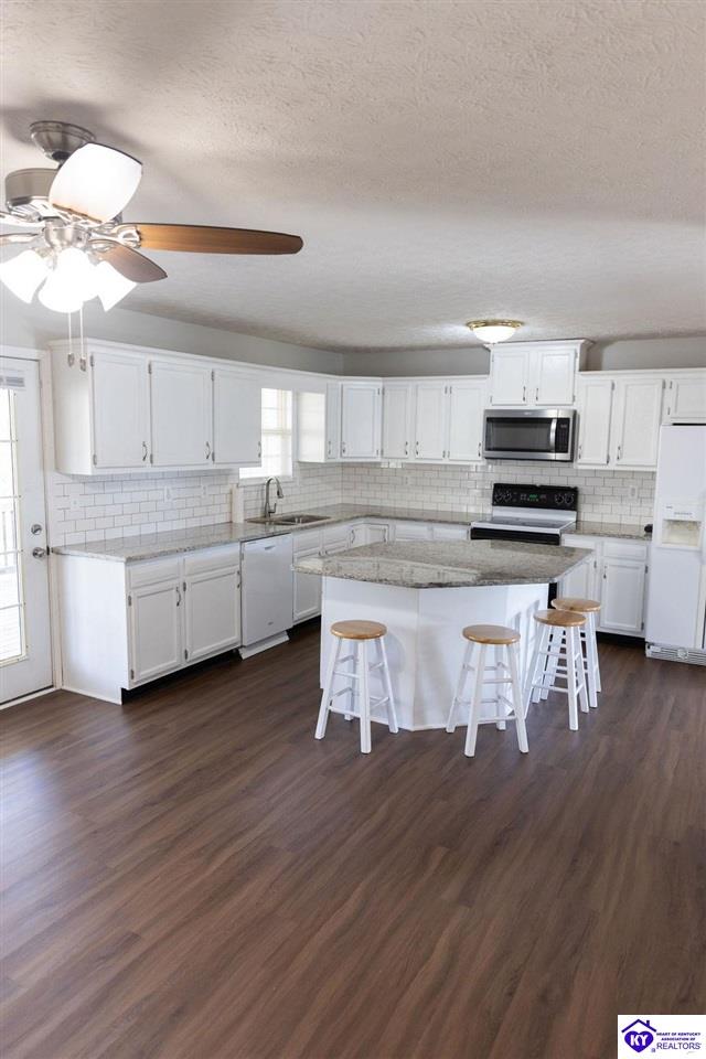 Listing Picture 490 Cherry Hill Drive Brandenburg, KY 40108 MLS HK24004212