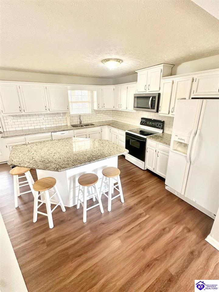 Listing Picture 490 Cherry Hill Drive Brandenburg, KY 40108 MLS HK24004212